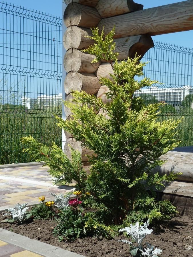Гостиница Гостевой Дом Экодом Белые Росы Анапа-28